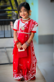 Royal Red Hand-Printed Half Silk Baby Saree